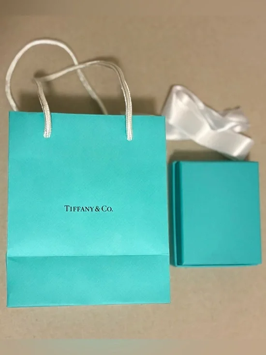 Tiffany & Co. Robin's Egg Blue Gift Bag with Matching Box - Picture 2 of 4